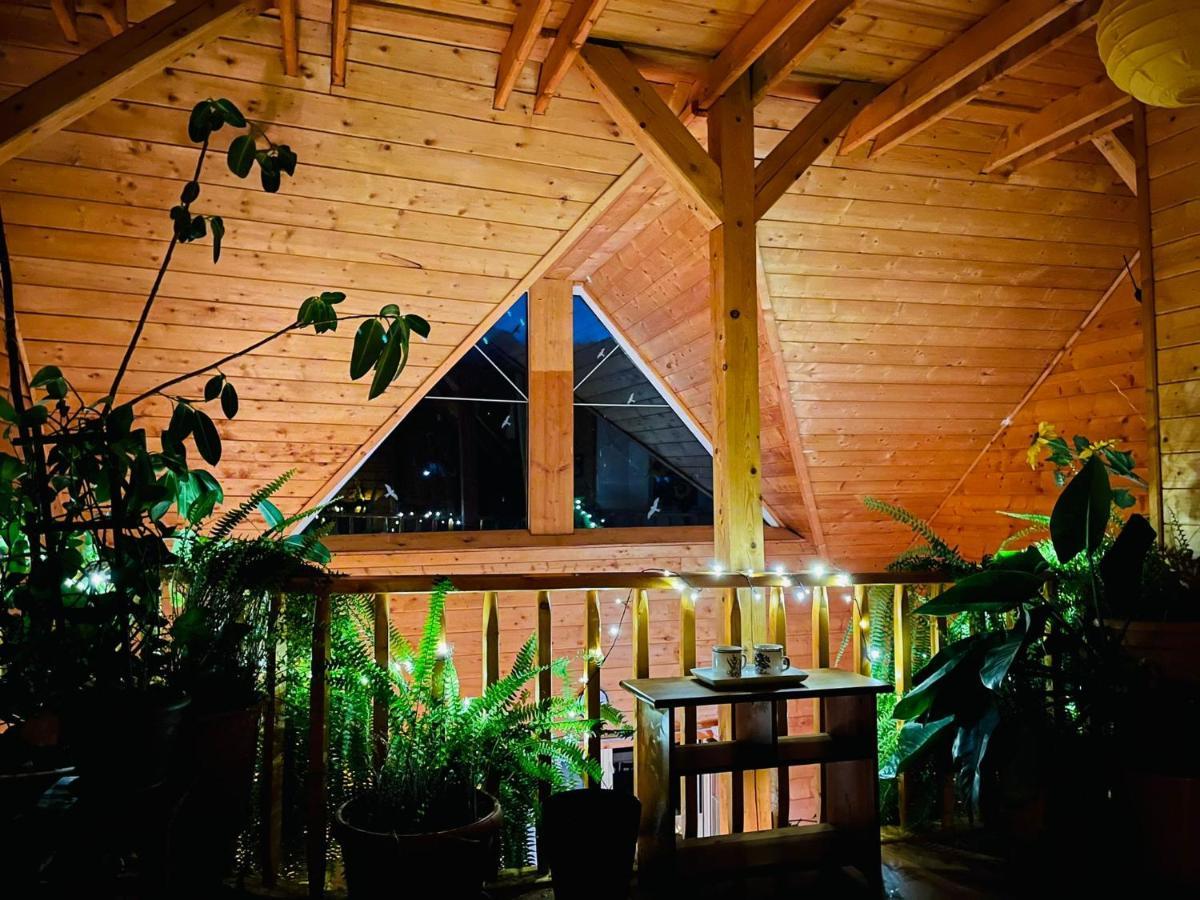 Ohana Boutique Hotel Vistea de Sus Екстериор снимка