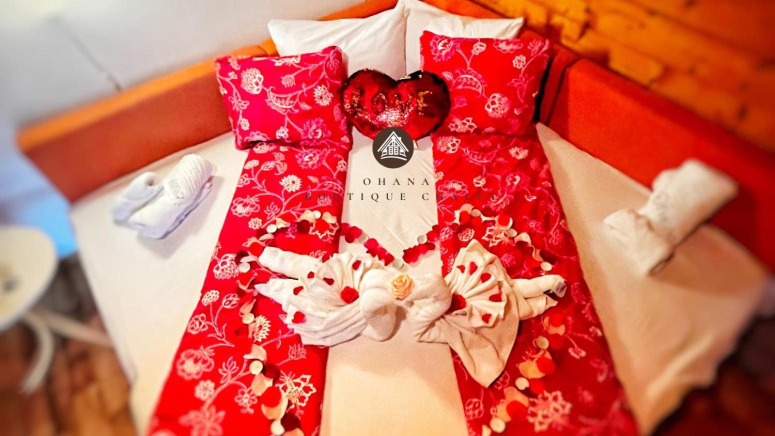 Ohana Boutique Hotel Vistea de Sus Екстериор снимка